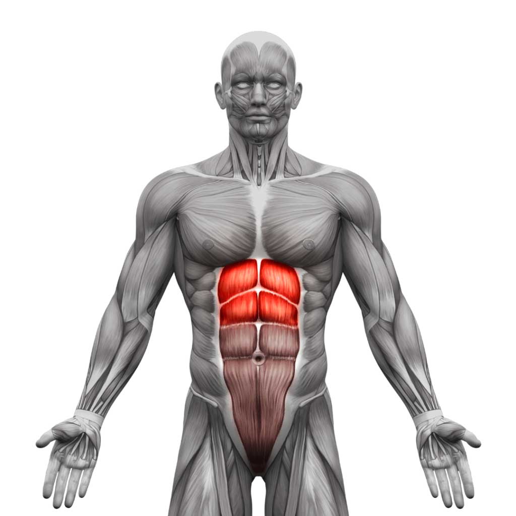 Upper-Abs Upper-Abs